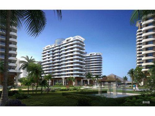 Black Airplane 黑潮饮品