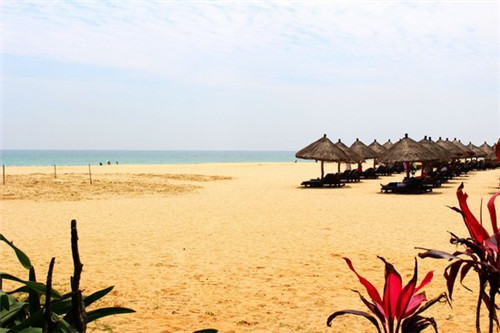 创业宠物店需要什么，找宠物店创业准备什么资料