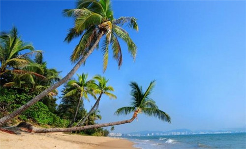 烘焙店创业清单怎么写范本，一份完整的烘焙店创业计划书