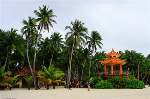 新和县开店电解质水加盟品牌有哪些