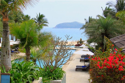 阿胶块加盟品牌2025哪些比较可靠，阿胶专卖店加盟连锁店条件