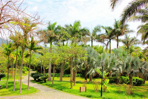 保持缄默是什么意思（保持缄默百度百科）