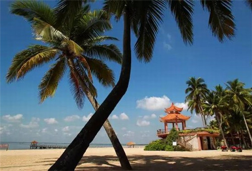 醉香屋加盟挣钱吗，醉香屋知名度大吗