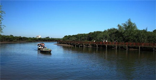 成都取名大师游戏公司（成都取名大师游戏公司怎么样）